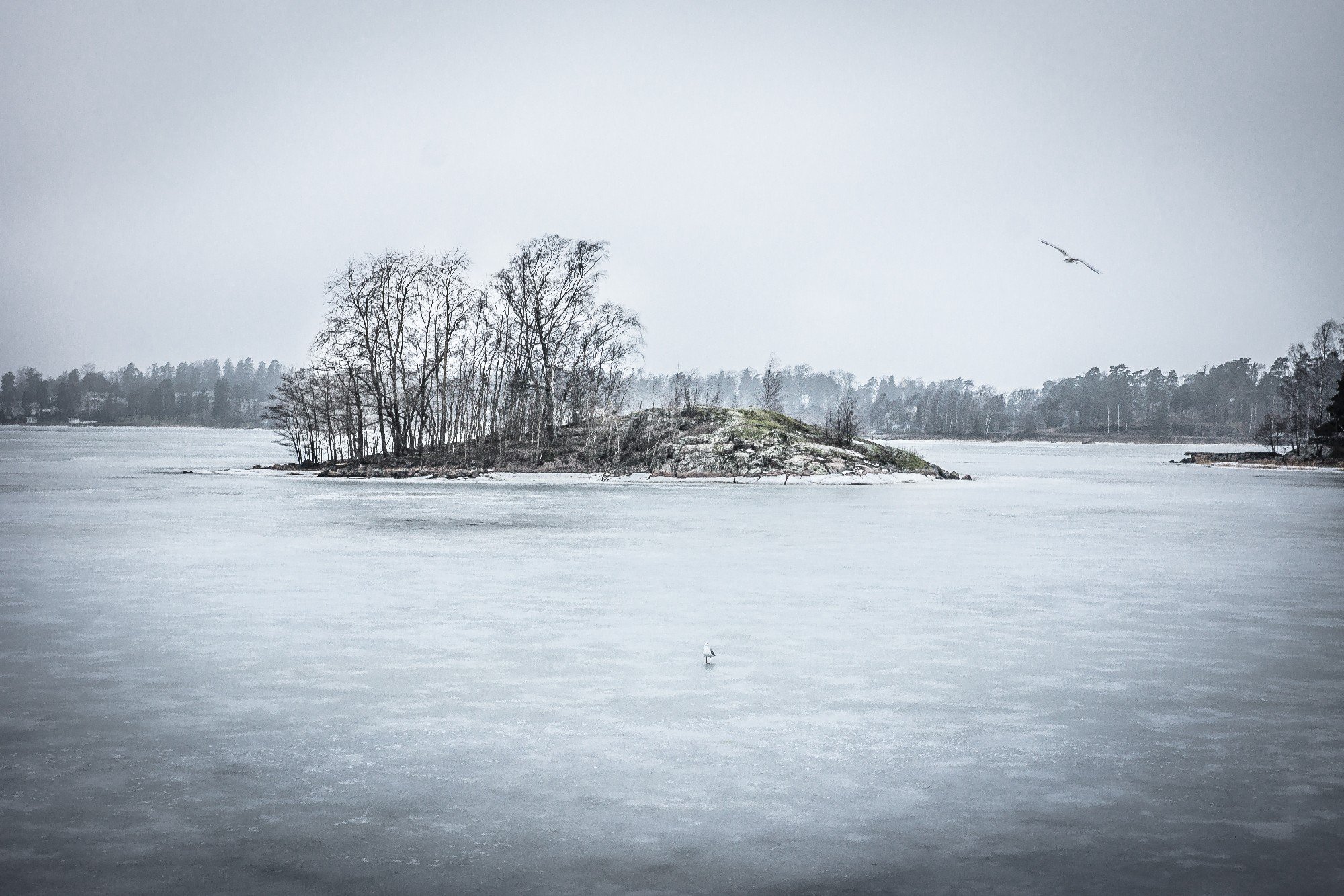 winter, Snow, Landscape, Nature Wallpaper