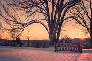 winter, Snow, Landscape, Nature, Bench