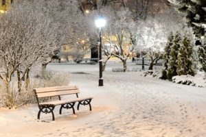 winter, Snow, Landscape, Nature, Bench, Lamp, Post
