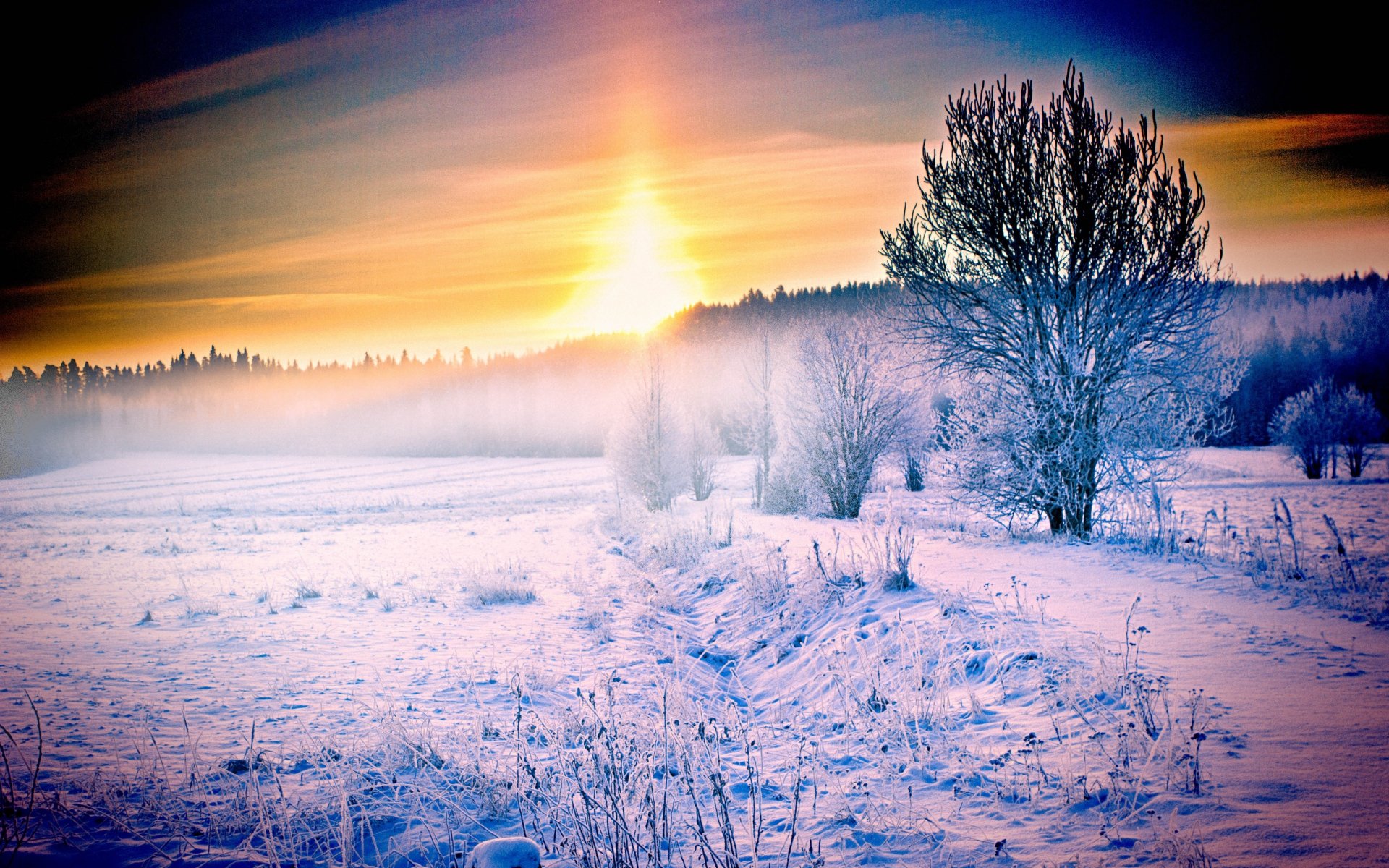 winter, Snow, Landscape, Nature Wallpaper