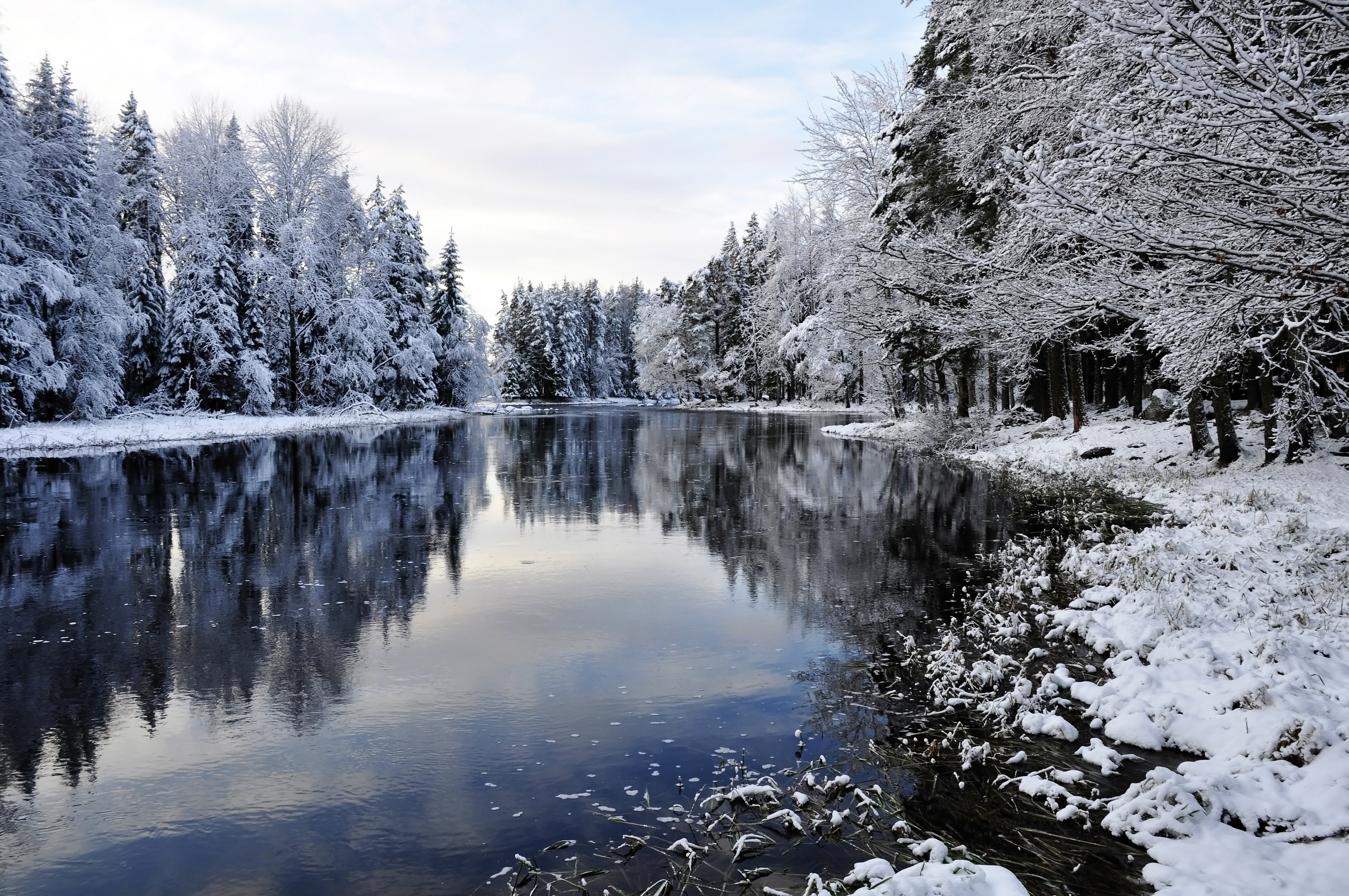 winter, Snow, Landscape, Nature Wallpaper