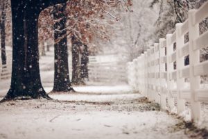 winter, Snow, Landscape, Nature, Fence