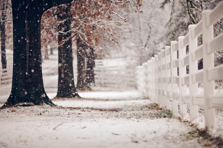 winter, Snow, Landscape, Nature, Fence HD Wallpaper Desktop Background