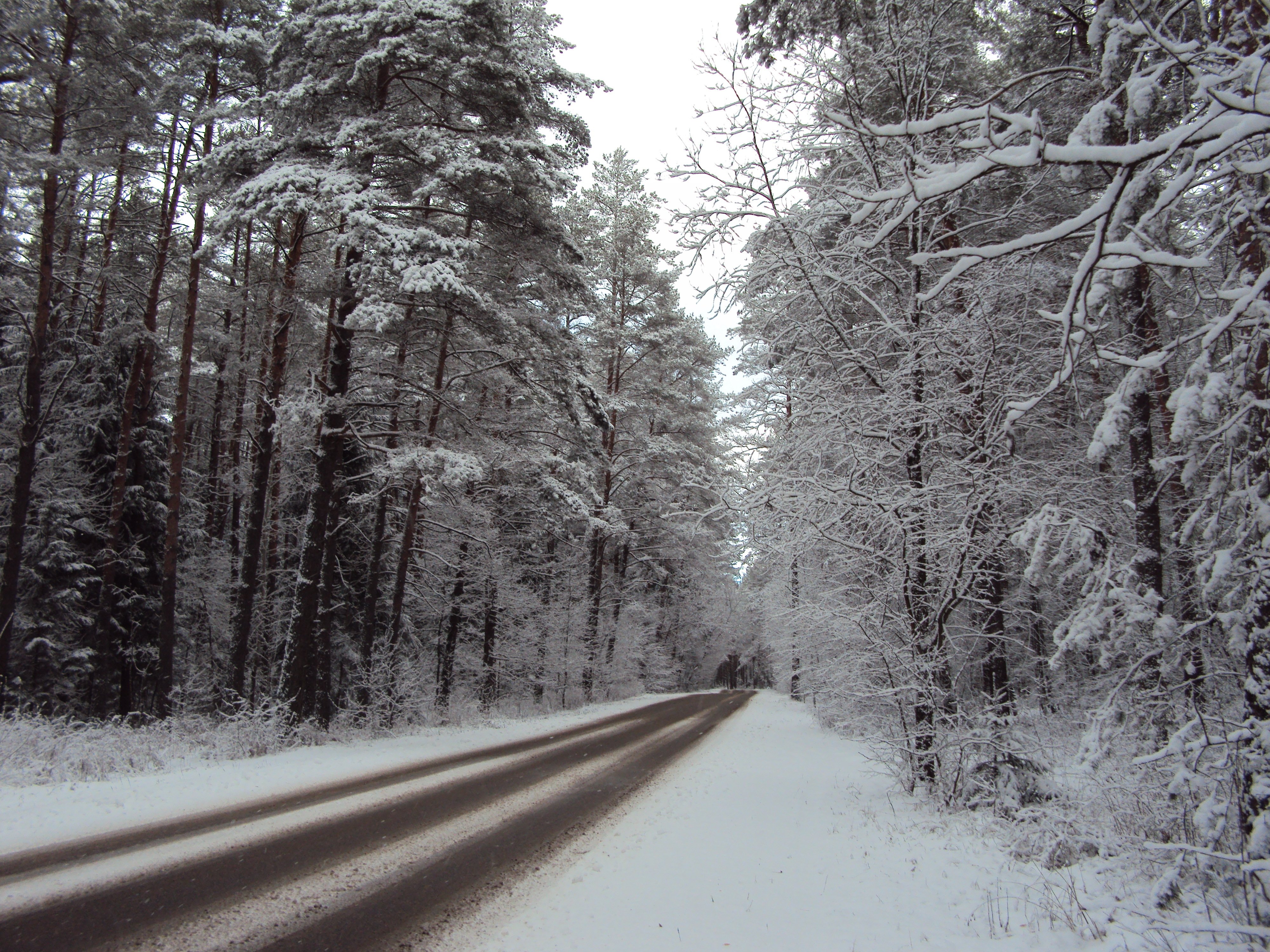 winter, Snow, Landscape, Nature Wallpaper
