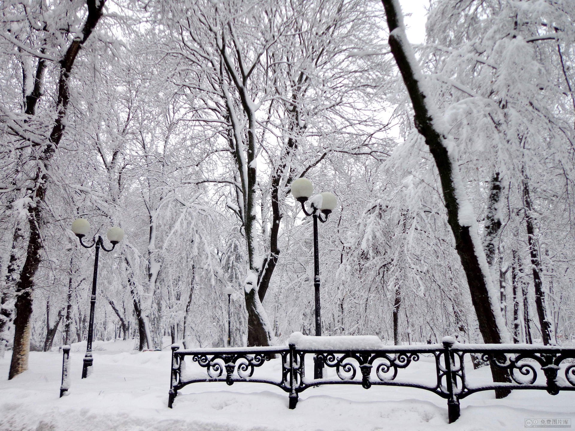 winter, Snow, Landscape, Nature Wallpaper