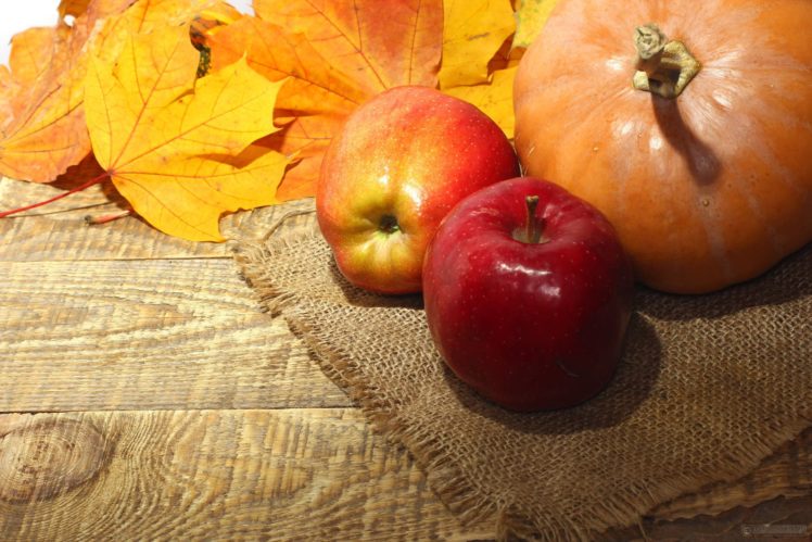 autumn, Fall, Landscape, Nature, Tree, Forest, Leaf, Leaves, Apple, Pumpkin HD Wallpaper Desktop Background