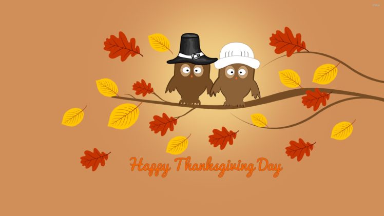 autumn, Fall, Landscape, Nature, Tree, Forest, Leaf, Leaves, Thanksgiving, Owl HD Wallpaper Desktop Background