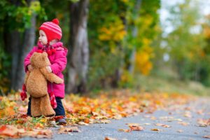 autumn, Fall, Landscape, Nature, Tree, Forest, Leaf, Leaves, Baby, Teddy, Bear