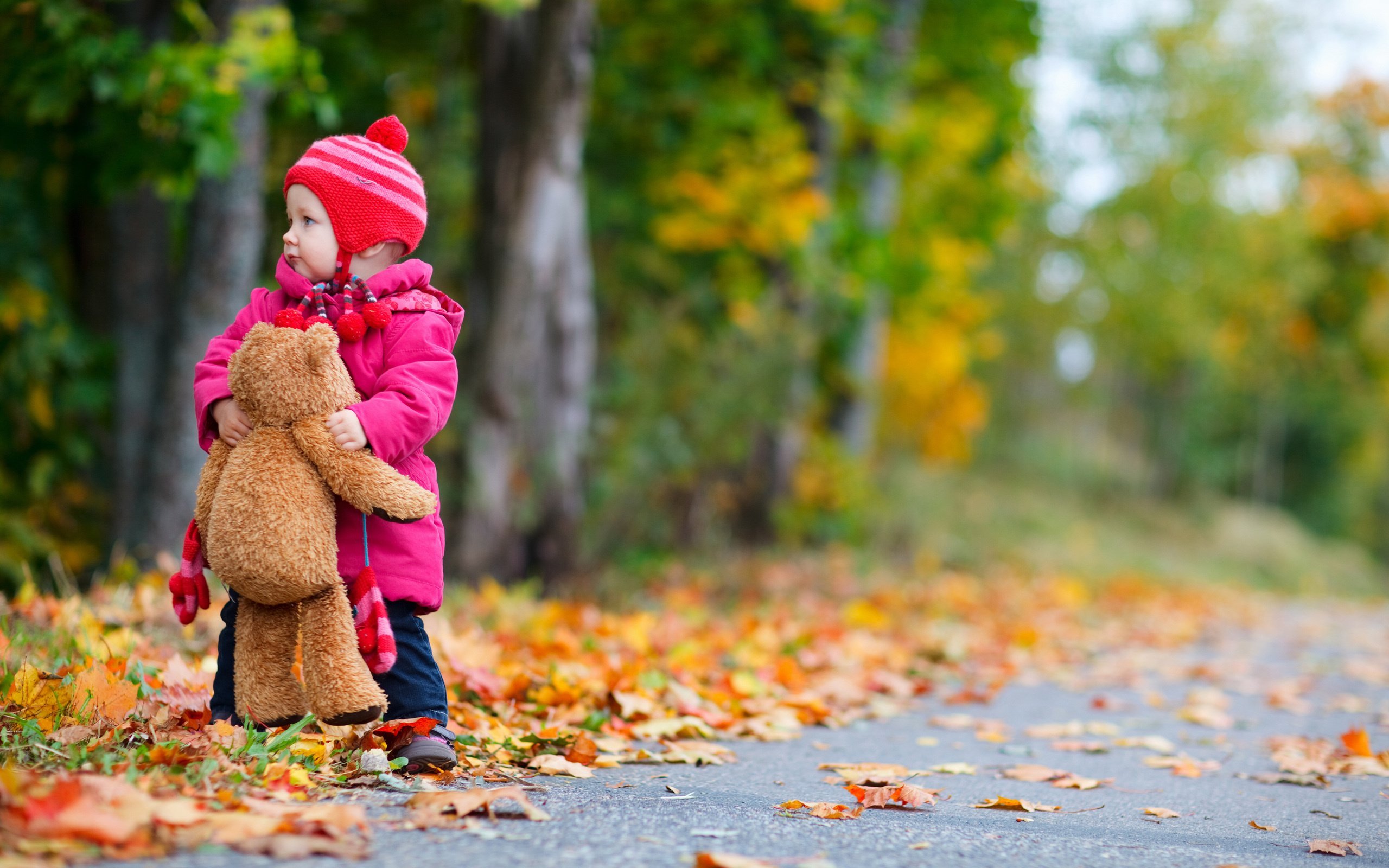autumn, Fall, Landscape, Nature, Tree, Forest, Leaf, Leaves, Baby, Teddy, Bear Wallpaper