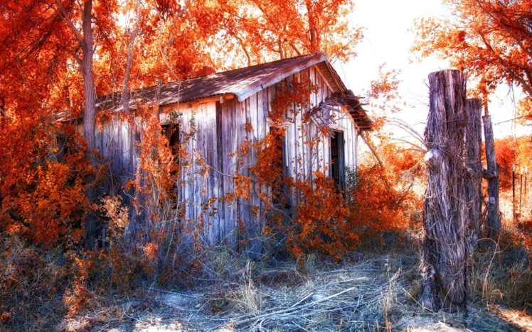 autumn, Fall, Landscape, Nature, Tree, Forest, Leaf, Leaves, House HD Wallpaper Desktop Background