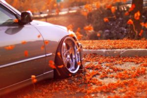 autumn, Fall, Landscape, Nature, Tree, Forest, Leaf, Leaves, Car, Tuning