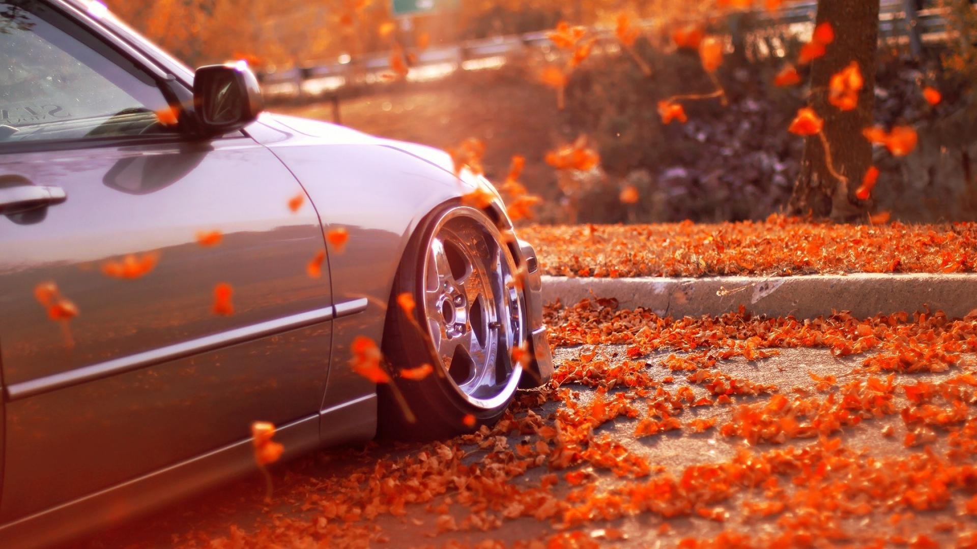 autumn, Fall, Landscape, Nature, Tree, Forest, Leaf, Leaves, Car, Tuning Wallpaper