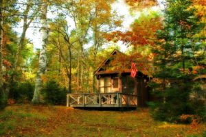 autumn, Fall, Landscape, Nature, Tree, Forest, Leaf, Leaves, House