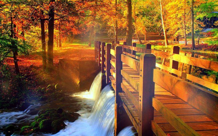 autumn, Fall, Landscape, Nature, Tree, Forest, Leaf, Leaves, Path, Trail, Bridge HD Wallpaper Desktop Background