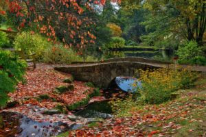 autumn, Fall, Landscape, Nature, Tree, Forest, Leaf, Leaves, Path, Trail, Bridge, River