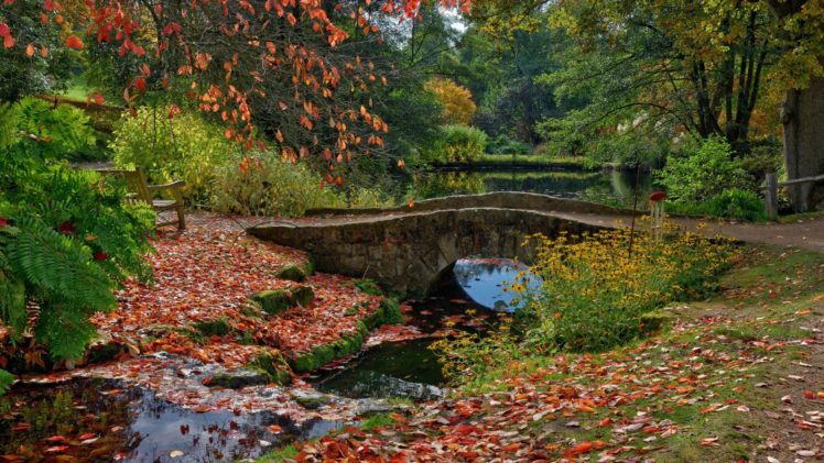 autumn, Fall, Landscape, Nature, Tree, Forest, Leaf, Leaves, Path, Trail, Bridge, River HD Wallpaper Desktop Background