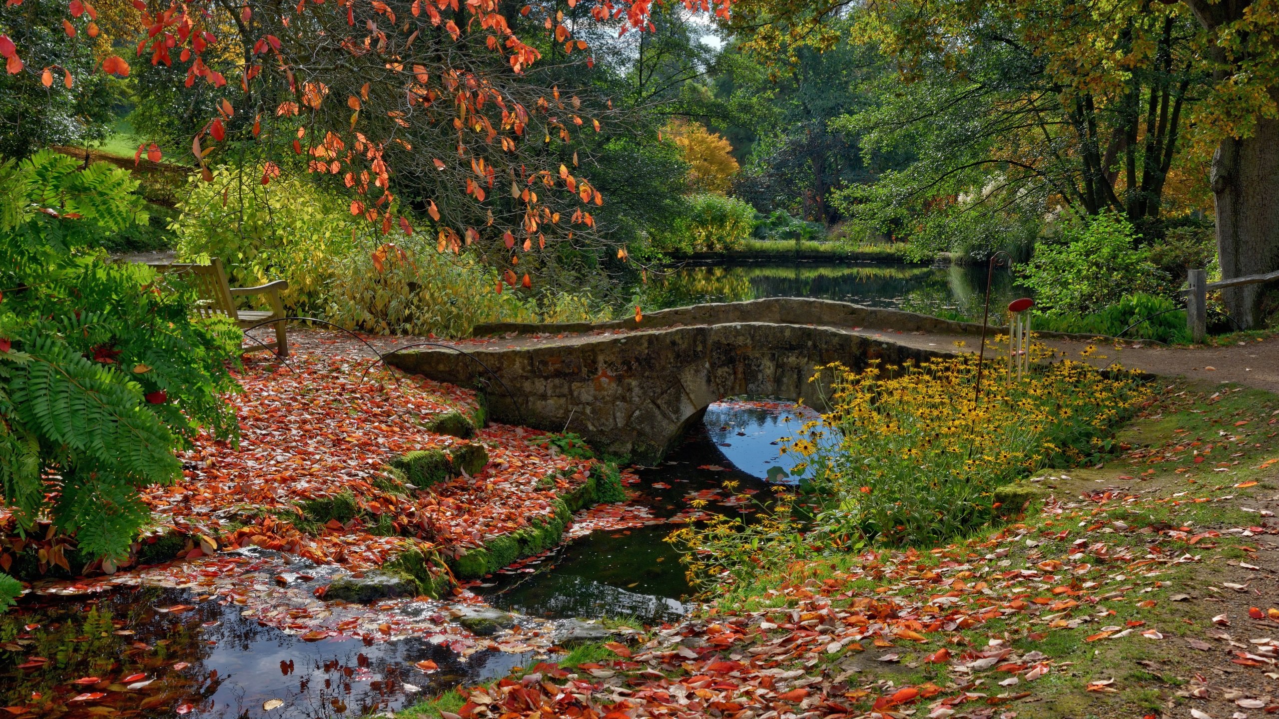 autumn, Fall, Landscape, Nature, Tree, Forest, Leaf, Leaves, Path, Trail, Bridge, River Wallpaper