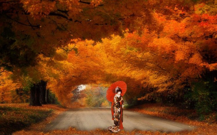 autumn, Fall, Landscape, Nature, Tree, Forest, Leaf, Leaves, Path, Trail, Asian, Oriental, Mood, Umbrella, Geisha HD Wallpaper Desktop Background