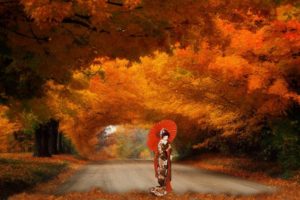 autumn, Fall, Landscape, Nature, Tree, Forest, Leaf, Leaves, Path, Trail, Asian, Oriental, Mood, Umbrella, Geisha