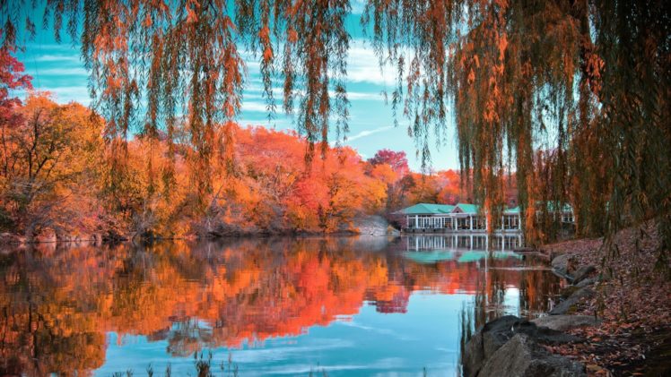 autumn, Fall, Landscape, Nature, Tree, Forest, Leaf, Leaves, Lake, Reflection HD Wallpaper Desktop Background