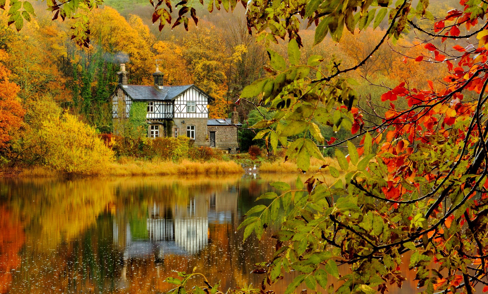 autumn, Fall, Landscape, Nature, Tree, Forest, Leaf, Leaves, House, Lake, Reflection Wallpaper