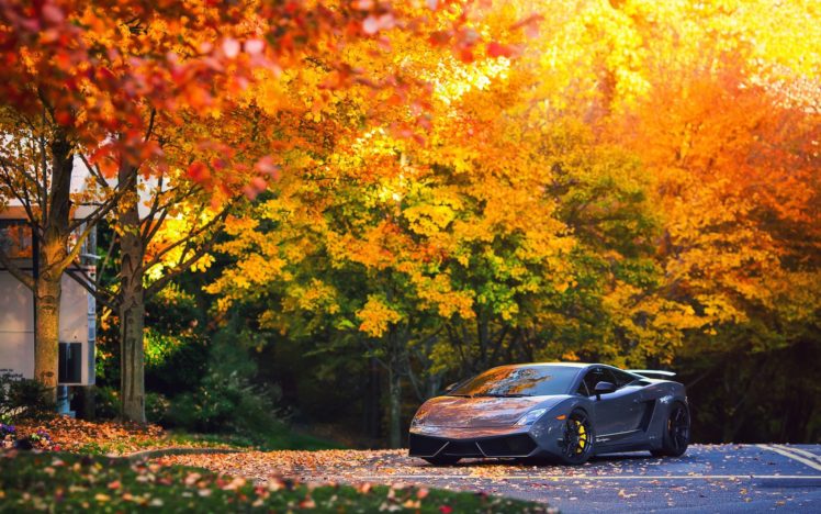 autumn, Fall, Landscape, Nature, Tree, Forest, Leaf, Leaves, Lamborgini, Supercar HD Wallpaper Desktop Background