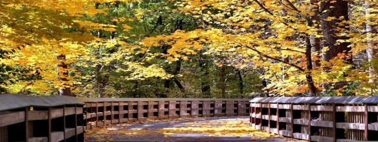 autumn, Fall, Landscape, Nature, Tree, Forest, Leaf, Leaves, Path, Trail, Bridge HD Wallpaper Desktop Background