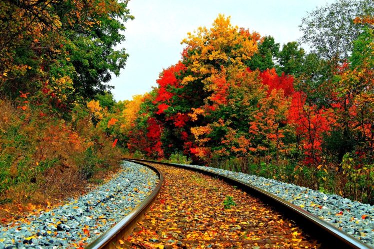 autumn, Fall, Landscape, Nature, Tree, Forest, Leaf, Leaves, Path, Trail, Train, Tracks HD Wallpaper Desktop Background