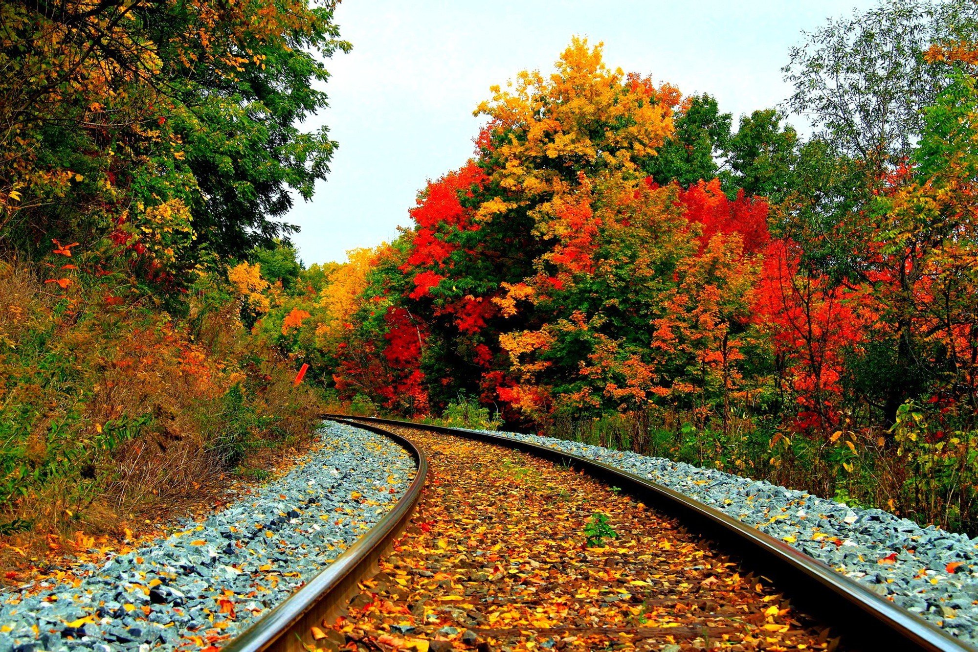 autumn, Fall, Landscape, Nature, Tree, Forest, Leaf, Leaves, Path, Trail, Train, Tracks Wallpaper