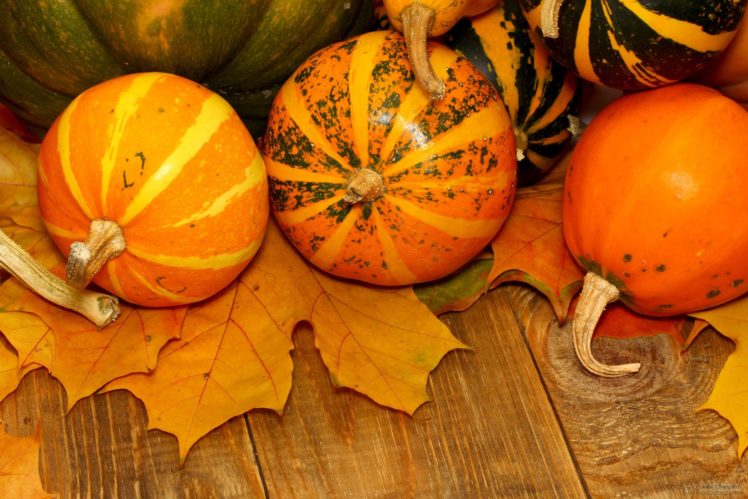 autumn, Fall, Landscape, Nature, Tree, Forest, Leaf, Leaves, Pumpkin, Halloween, Thanksgiving, Gouard HD Wallpaper Desktop Background