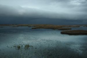 storm, Weather, Rain, Sky, Clouds, Nature, Birds, Duck, Landscape, Lake, River