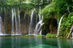 cascada, Selva, Naturaleza, Paisaje