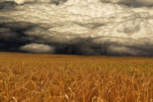 storm, Weather, Rain, Sky, Clouds, Nature, Landscape, Wheat, Grass