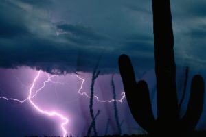 storm, Weather, Rain, Sky, Clouds, Nature, Landscape, Cactus, Lightning