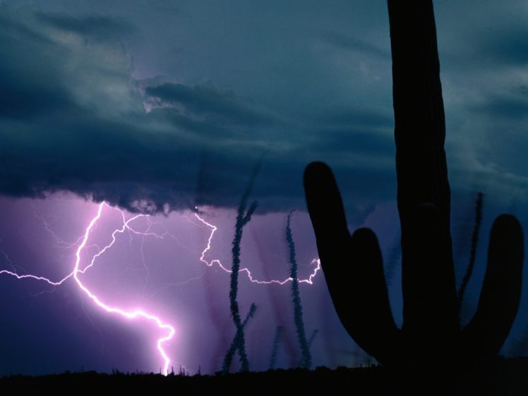 storm, Weather, Rain, Sky, Clouds, Nature, Landscape, Cactus, Lightning HD Wallpaper Desktop Background