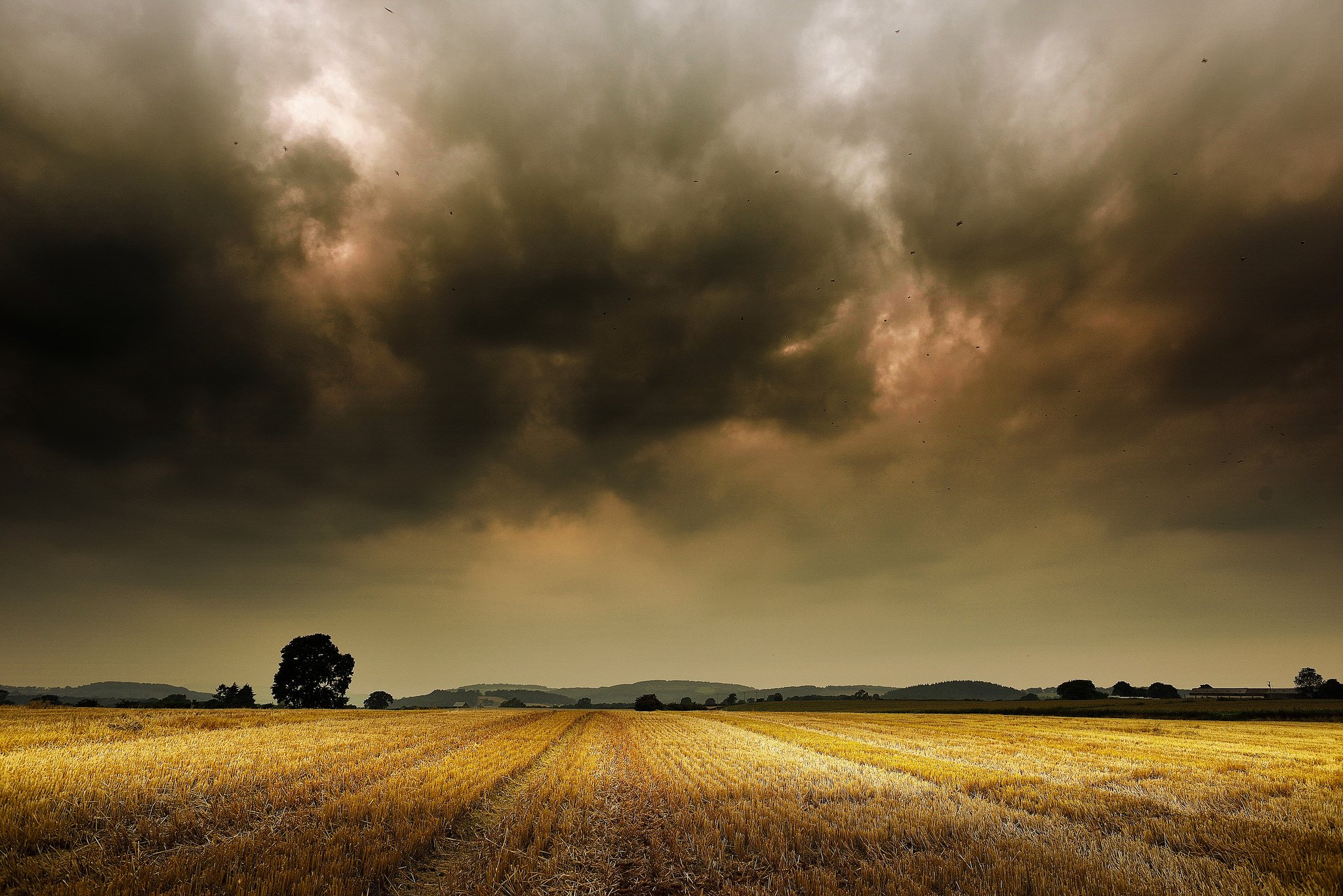 storm, Weather, Rain, Sky, Clouds, Nature, Desert, Sand, Landscape Wallpaper