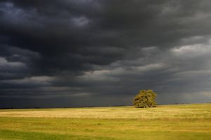 storm, Weather, Rain, Sky, Clouds, Nature, Landscape
