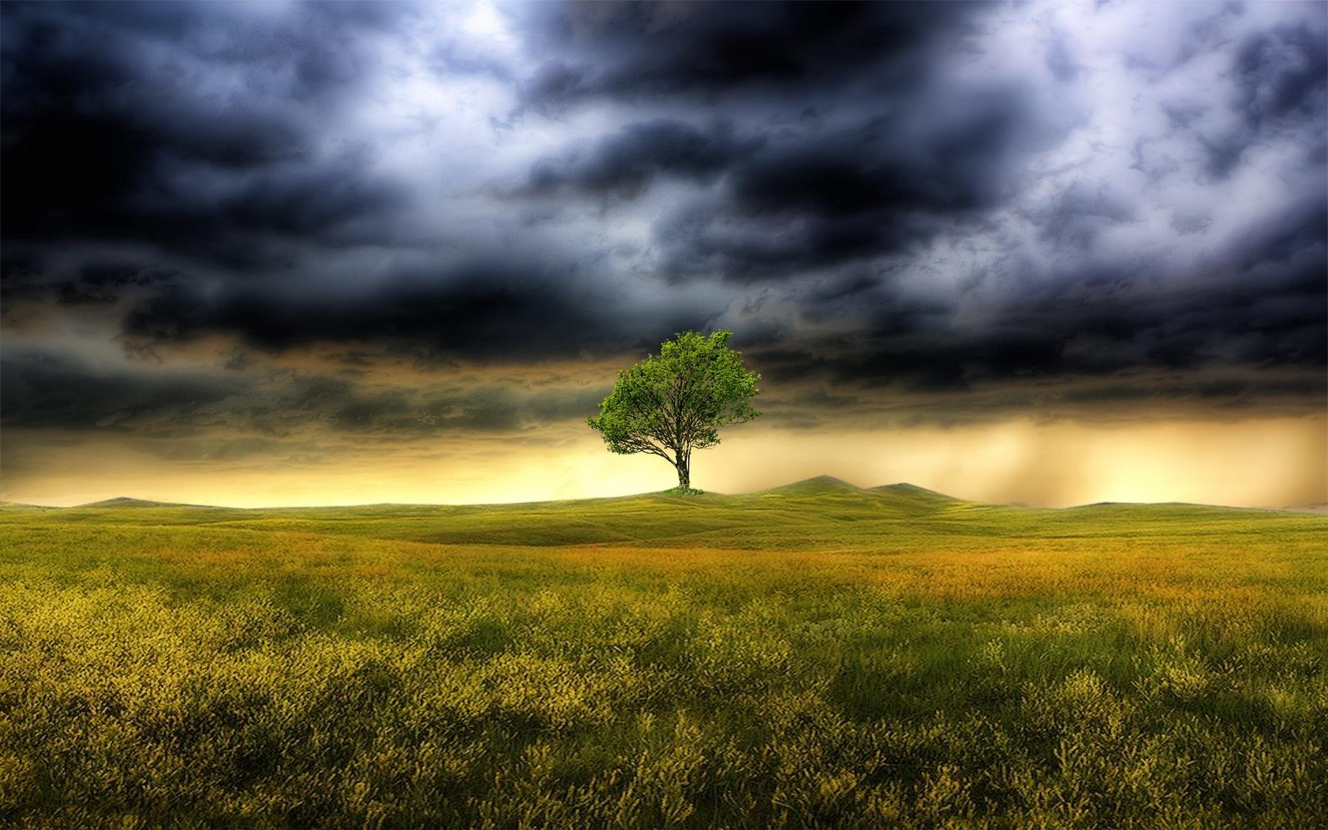 storm, Weather, Rain, Sky, Clouds, Nature, Landscape, Tree Wallpapers
