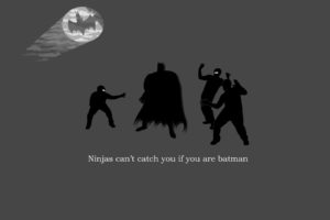 batman, Ninjas, Cant, Catch, You, If