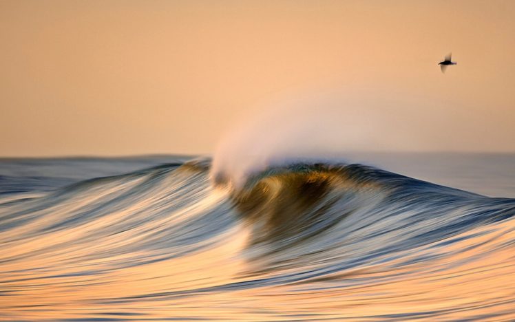 ocean, Sea, Waves, Birds, Reflection, Sunset HD Wallpaper Desktop Background