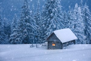 nature, Hut, Forest, Snow, Winter, Trees, Cabin