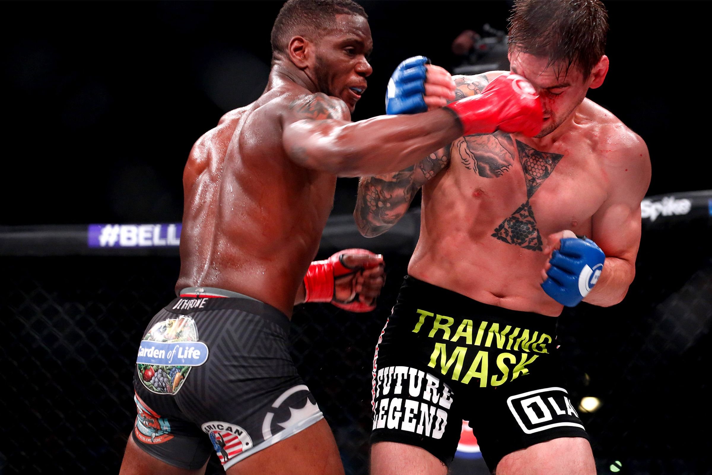 mma, Martial, Arts, Action, Fighting, Warrior, Boxing, Wrestling Wallpaper