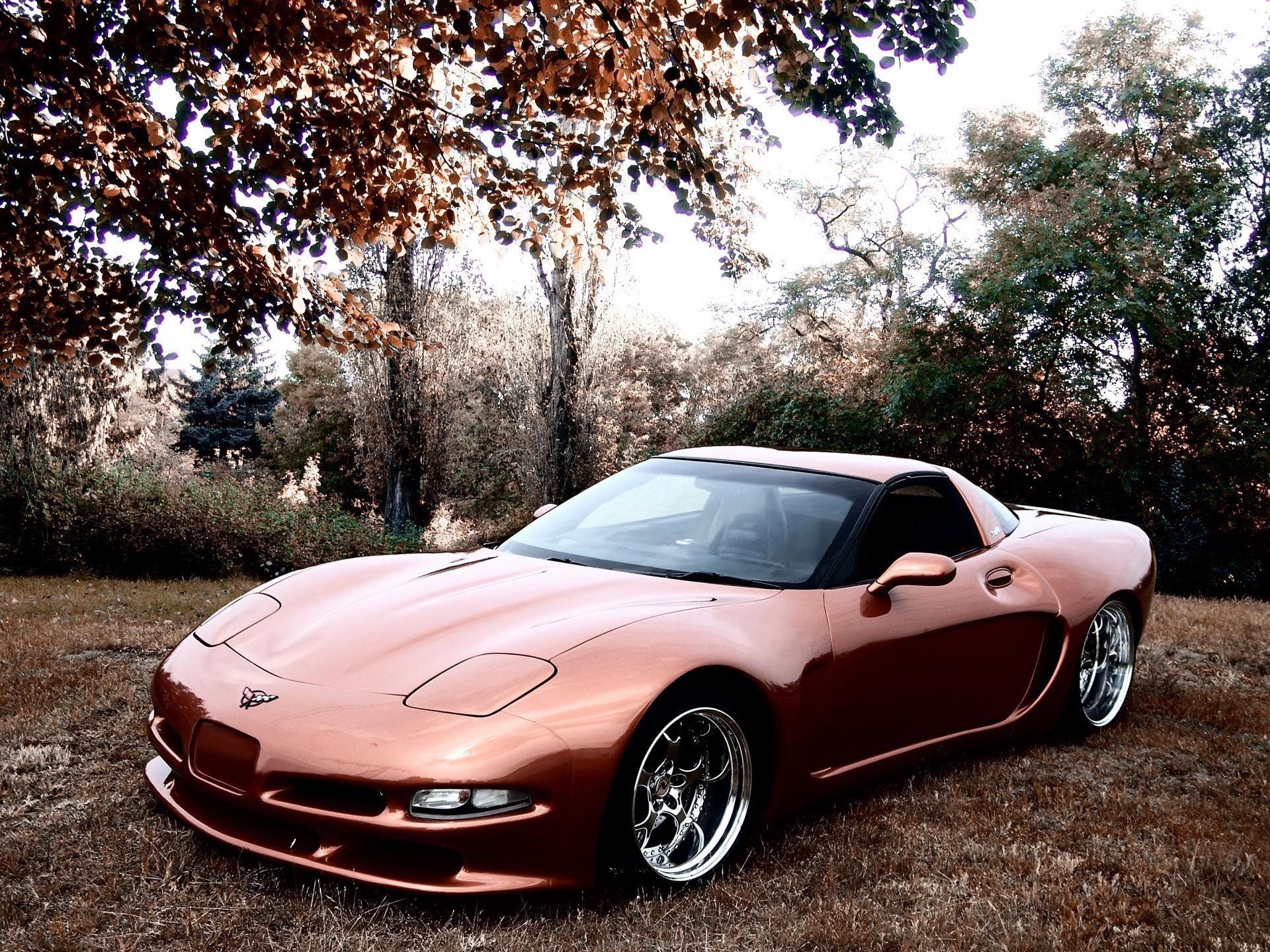 chevrolet corvette c5 america coupe front Wallpaper