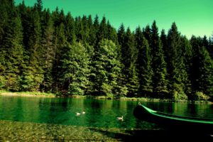 forest, River, Boat, Nature