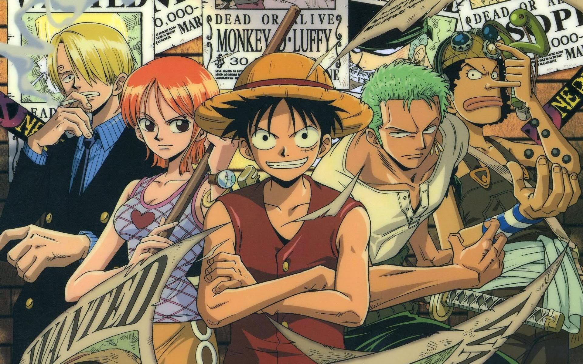 One piece anime characters