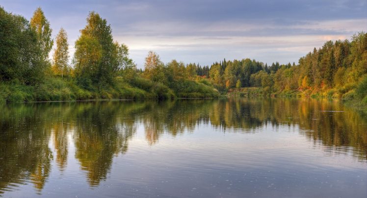 lake, Forest HD Wallpaper Desktop Background