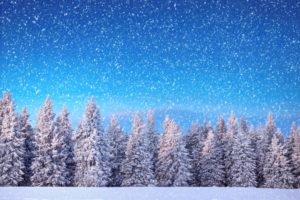 winter, Trees, Snow
