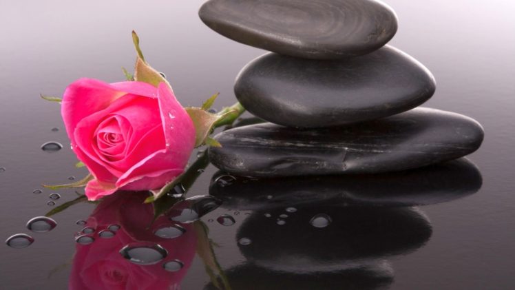rose, Stones, Composition, Zen HD Wallpaper Desktop Background