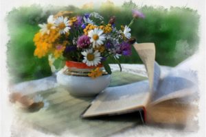 still, Life, Table, Vase, Flowers, Flower, Book
