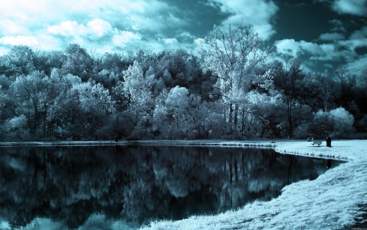 forest, Lake, Landscape, Nature, Winter HD Wallpaper Desktop Background
